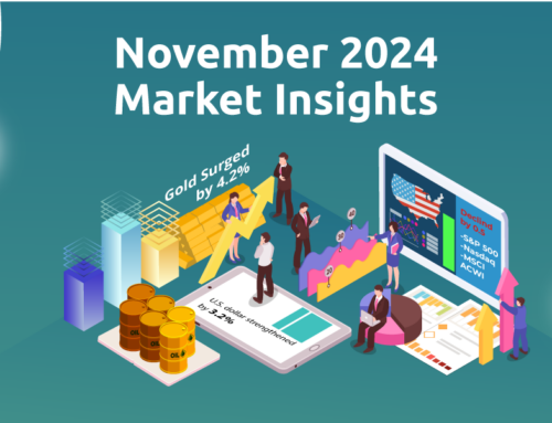 November 2024 Market Insights